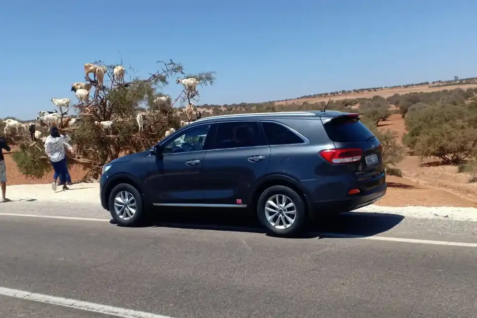 Taxi Essaouira – Marrakech: traslado privado